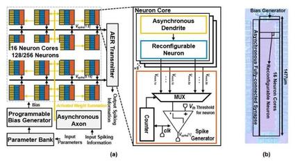 上海交大王國(guó)興團(tuán)隊(duì)研發(fā)出高能效脈沖神經(jīng)網(wǎng)絡(luò)加速器芯片，為類(lèi)腦計(jì)算與邊緣智能注入新動(dòng)能